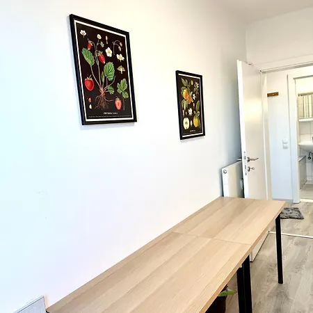 Apartment Perfekt Fuer Monteure - 5 Einzelbetten